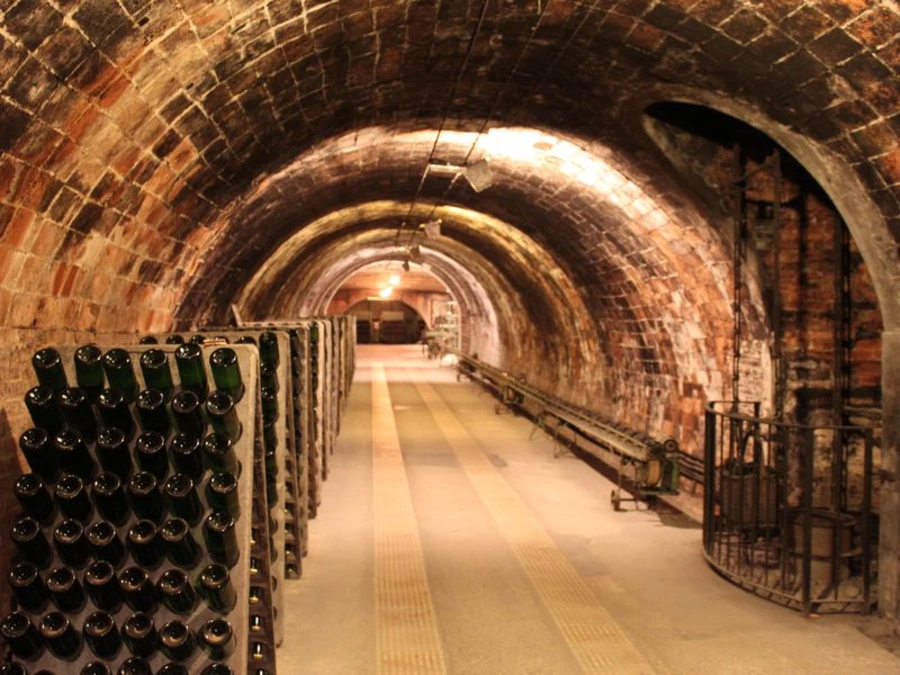 Old family wine cellar with bottles