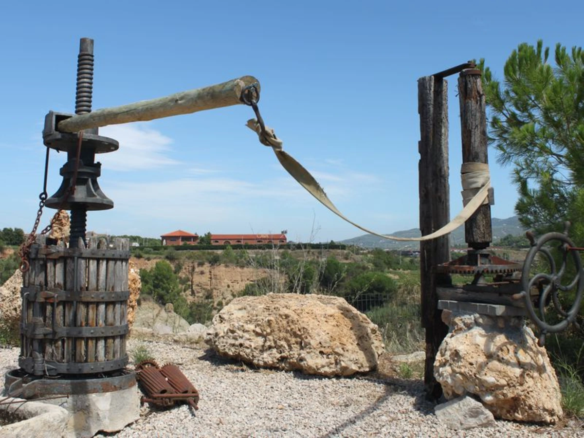 Cava bottles and Sant Sadurní d'Anoia vineyard landscape